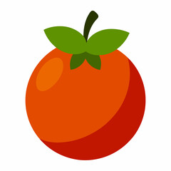 vector illustration of an orange