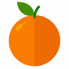 orange fruit vector illustration
