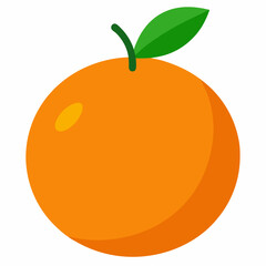 orange fruit vector illustration