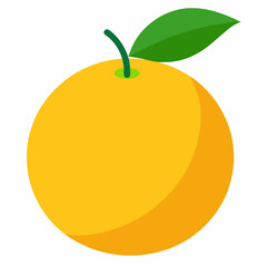orange fruit vector illustration