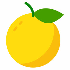 orange fruit vector illustration