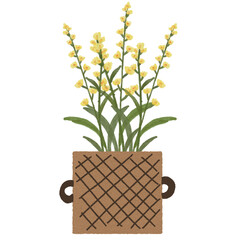 Yellow flowers in a pot