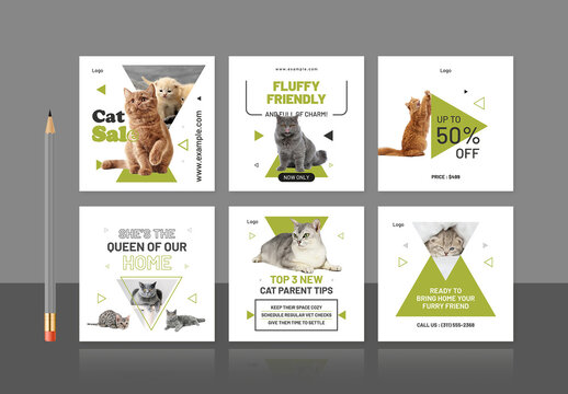 Cat Sale Social Media Post Design