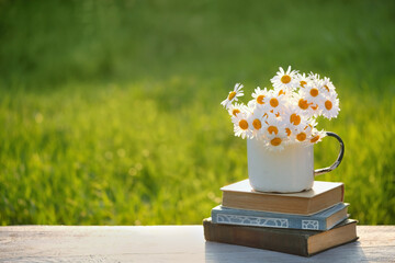 chamomile flowers bouqet in enamel mug and books on table in garden. sunny summer background. romantic rustic floral composition. copy space