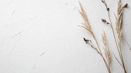 Pure white textured paper background with natural fiber details, minimalist soft shadows, suitable for product display, clean white space for text or graphics, simple and elegant design concept,