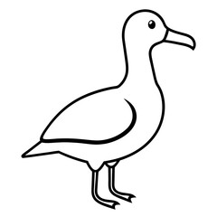 Elegant Albatross Outline Illustration