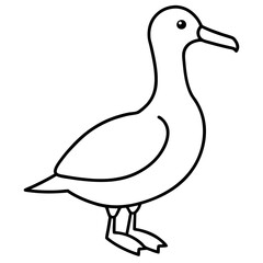 Elegant Albatross Outline Illustration