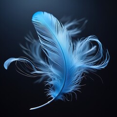 Light blue feather, ethereal, delicate, floating, black background, intricate details, soft texture, wispy edges, azure hue, gentle curves, macro photography, high contrast, studio lighting, minimalis