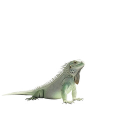 Obraz premium Regal Reptile Portrait: A single, vibrant green iguana commands attention with its unique textures and striking posture, perfect for showcasing the beauty of reptile.