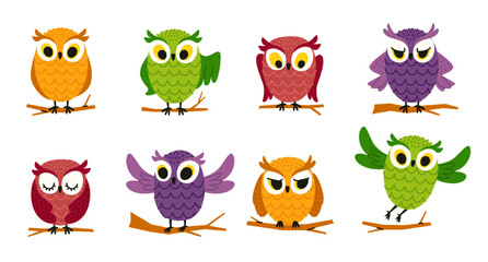 Cute owl on branch. Cartoon owl bird character, colorful zoo wildlife nocturnal predator birds with big eyes, owls flat collection. Vector bird isolated set