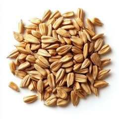 Pile of sunflower seeds