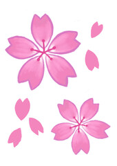 桜　春　ブロッサム