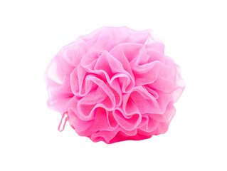 sponge pink rose isolated on transparent background