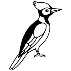 Minimalist Woodpecker Line Art Vector