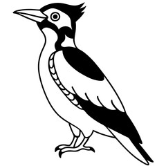Minimalist Woodpecker Line Art Vector