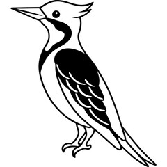 Minimalist Woodpecker Line Art Vector