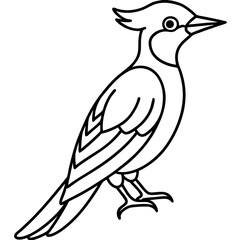 Minimalist Woodpecker Line Art Vector