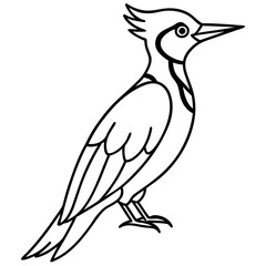 Minimalist Woodpecker Line Art Vector