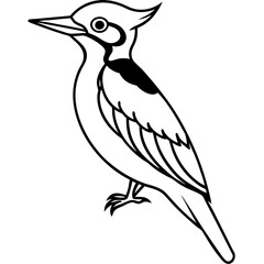 Minimalist Woodpecker Line Art Vector
