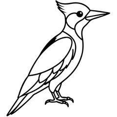 Minimalist Woodpecker Line Art Vector