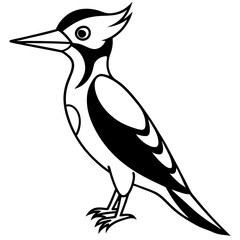 Minimalist Woodpecker Line Art Vector