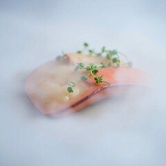 Fototapeta premium Smoked Salmon Dish with Microgreens