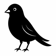 Elegant Canary Silhouette Vector Design