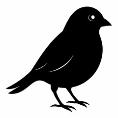 Fototapeta premium Elegant Canary Silhouette Vector Design