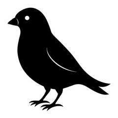 Obraz premium Elegant Canary Silhouette Vector Design