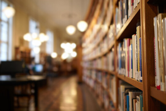 Library interior featuring rows of books and warm lighting in a quiet reading space during the afternoon