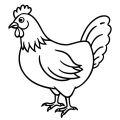 Elegant Chicken Outline Illustration