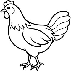 Elegant Chicken Outline Illustration