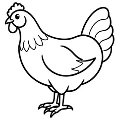 Elegant Chicken Outline Illustration
