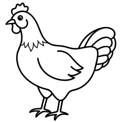Elegant Chicken Outline Illustration