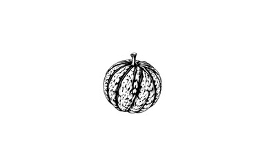 Araticum – AI-Illustrated Patterned Skin Fruit with Soft Segmented Interior