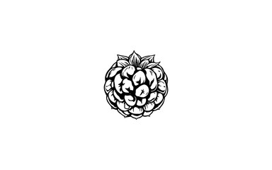 Arctic Raspberry – AI-Detailed Drawing of Compact Berry with Tiny Drupelets