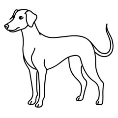 Fototapeta premium Elegant Dog Outline Illustration