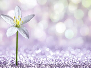 Delicate white flower on a bed of shimmering purple glitter.