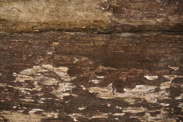 Detailed closeup of weathered and aged wooden planks with visible grain and texture
