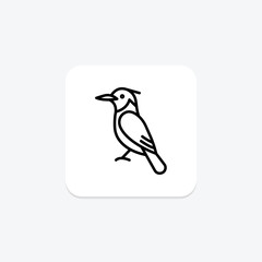 Kingfisher, vector, pixel perfect, illustrator file