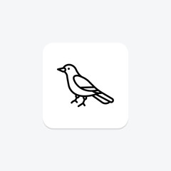 Magpie, vector, pixel perfect, illustrator file