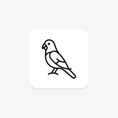 Budgie, vector, pixel perfect, illustrator file