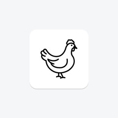 Chicken, vector, pixel perfect, illustrator file
