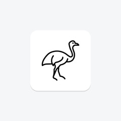 Cassowary, vector, pixel perfect, illustrator file