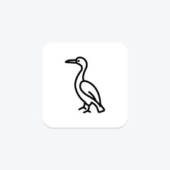 Cormorant, vector, pixel perfect, illustrator file