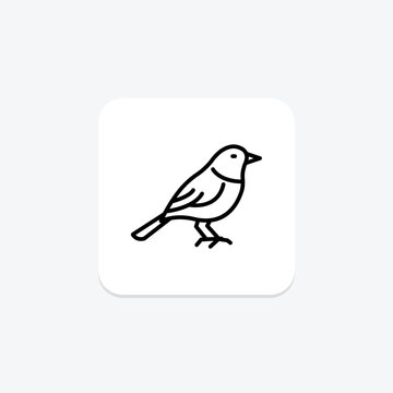 Warbler, vector, pixel perfect, illustrator file