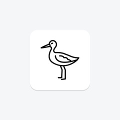 Avocet, vector, pixel perfect, illustrator file