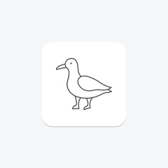 Seagull, vector, pixel perfect, illustrator file