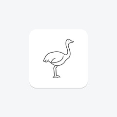 Naklejka premium Ostrich, vector, pixel perfect, illustrator file