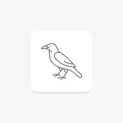 Raven, vector, pixel perfect, illustrator file